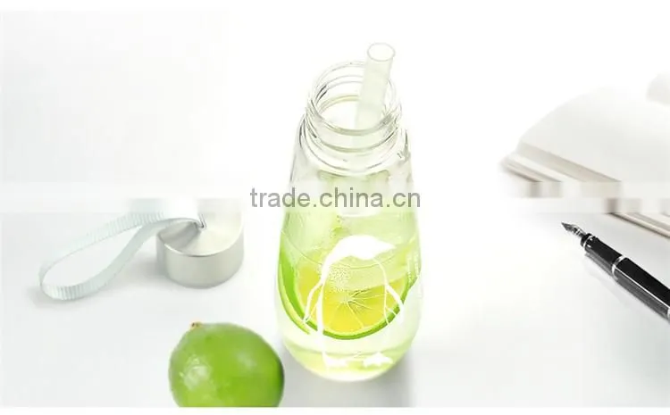 480ML Water Bottle With Bag Leak Proof Custom Glass Water Bottle Drinkware Transparent Water Bottles Cute Outdoor Sports Tumbler