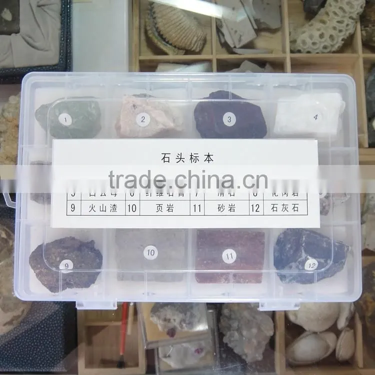 12 kinds stone specimen