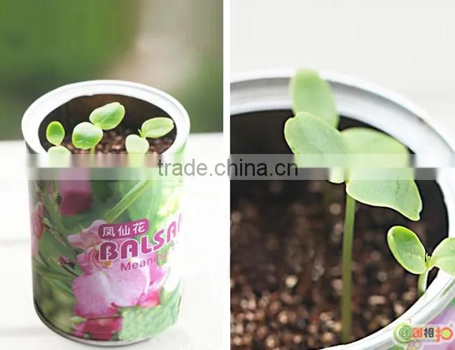 Semi-automatic Tin Can Seamer Machine Of Seed Can Gift Can Line