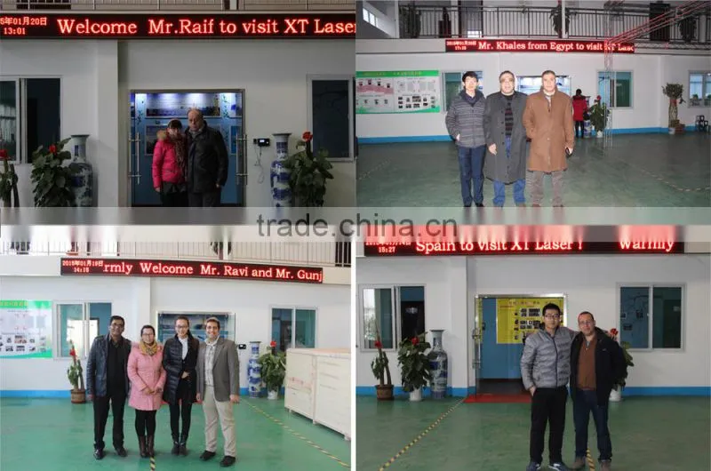 Equipments producing Portable laser marking machine hunst for animal ear tag
