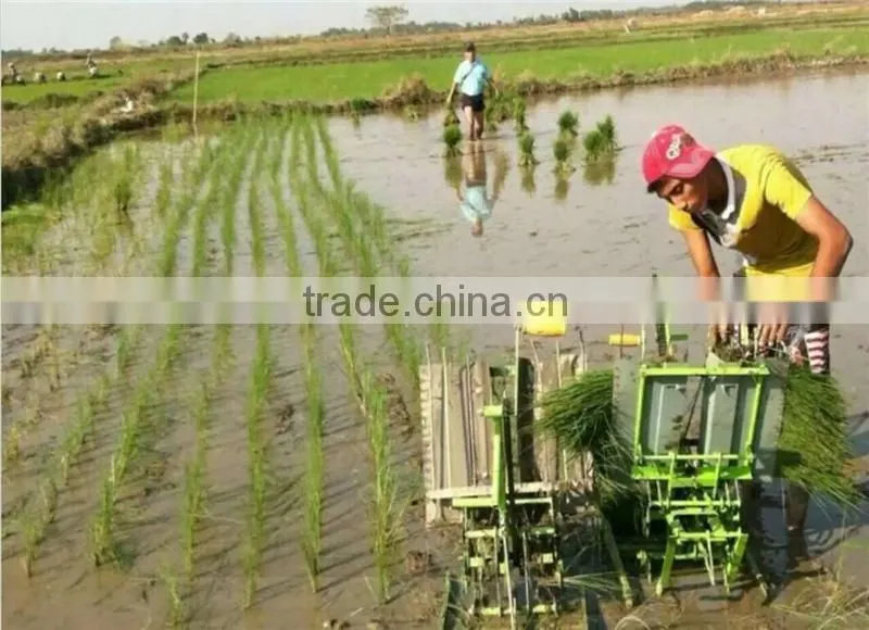 manual rice planter
