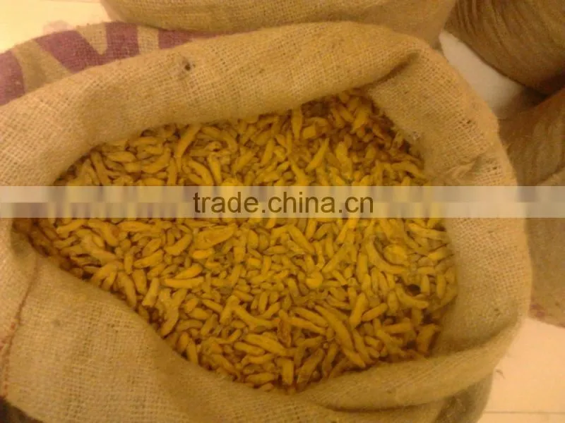 Fresh Turmeric / Dried Turmeric / Turmeric Finger