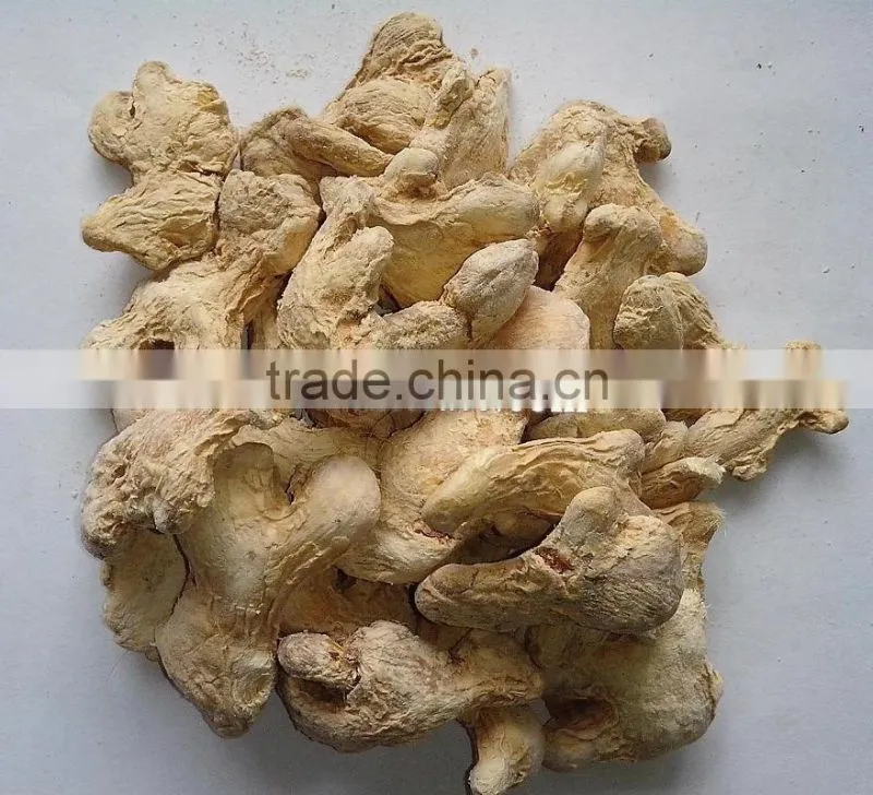new crop air dried galangal root spice herb