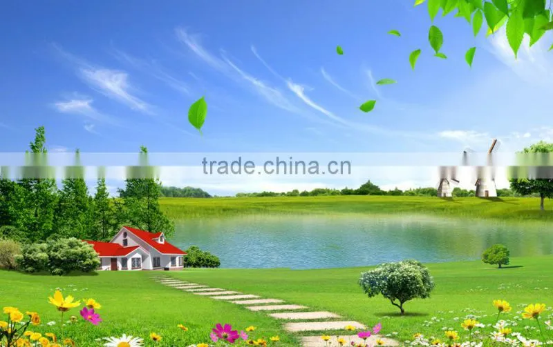 2015 Clean and Save Energy Biomass Pellet Burner / Wood Pellet Burning Machine for boiler