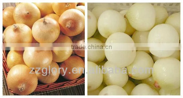 The Best Seller Fully-automatic Onion Peeler