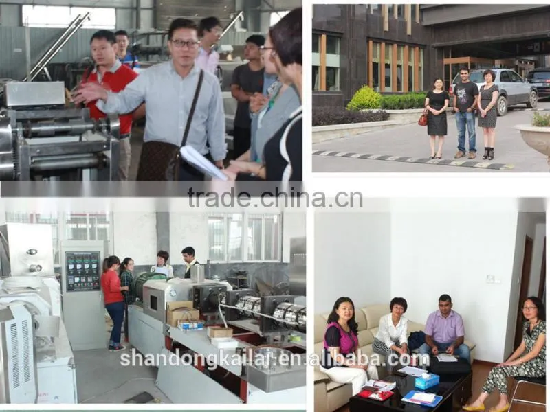 instant noodle machine oem