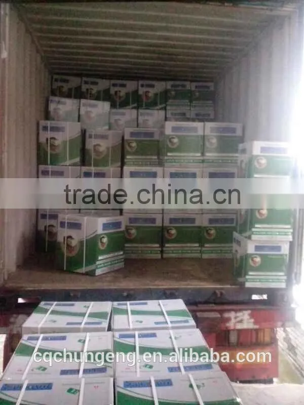 170F low fuel consumption export standard engine