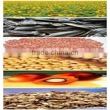 300TPD Vegetable Oil Recycling Equipment