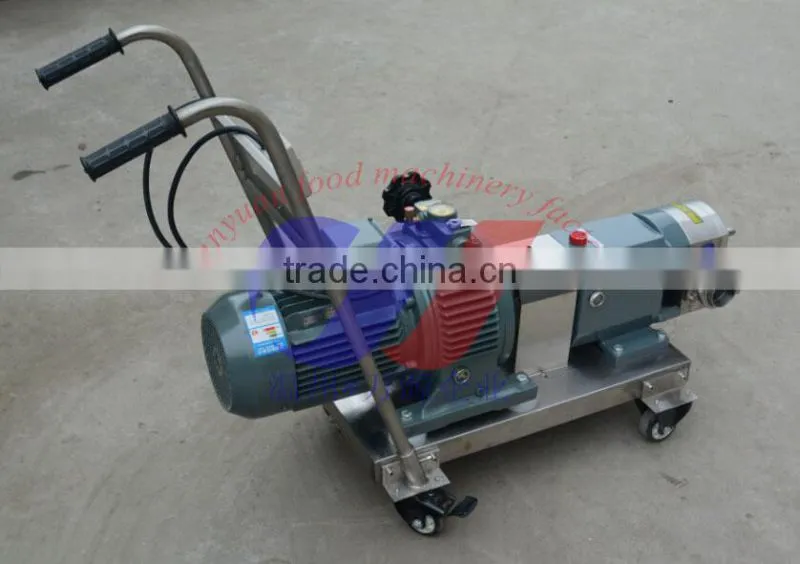 rotor pump rotary pump