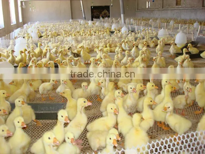 Best Price!! HDPE Construction Safety Net/construction Safety Net/Plastic Net plastic flat mesh