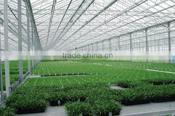 Roofing panel, Polycarbonate U Sheet(8mm,10mm), Plastic Roofing Sheet