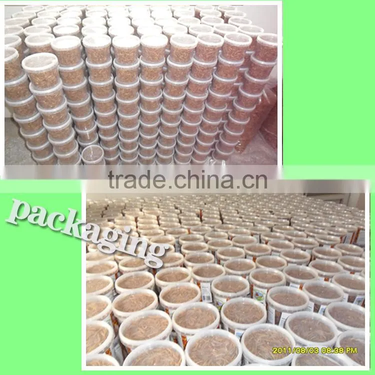 Dried Mealworms,Birds Food & aquarium fish food