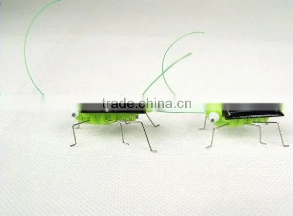 Chinese manufacturer Solar spider/Cockroach Toy Best gift for 3-6 years old kids