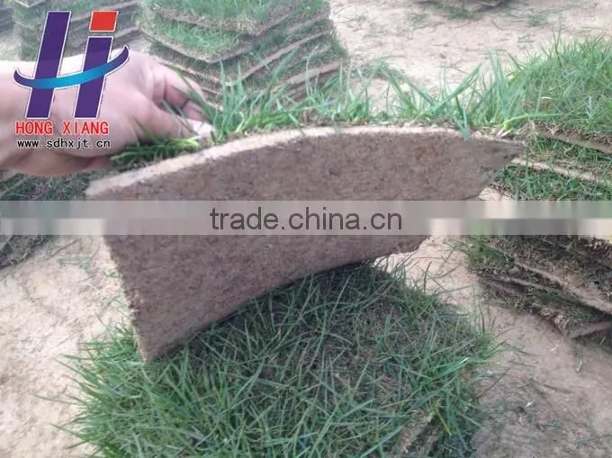 Coconut blanket coir fiber highest quality and Coir Products