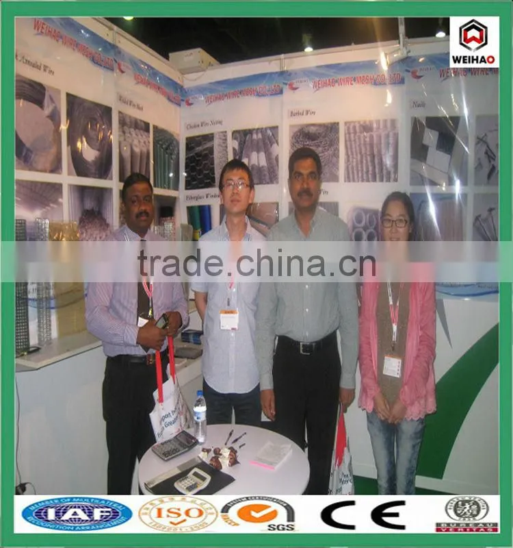 china high quality Polishing common nail for metal