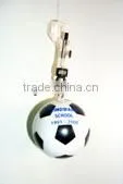 Plastic promotional printed raincoat ball