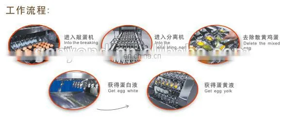 Eggshell breaking machine/egg liquid mixer type equipment/egg cracker machine