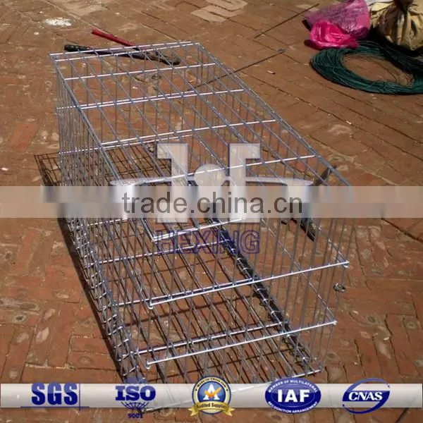 Galvanized Welded Gabion Box, Gabion Mesh