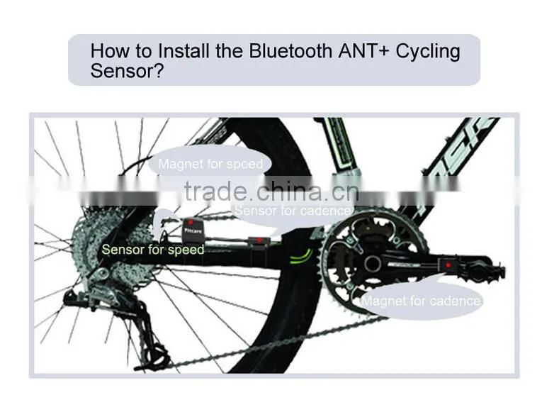 NEW wireless bicyle Speedometer for cicyling speed candence sensor