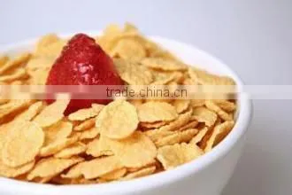 cornmeal and cornflakes processing line