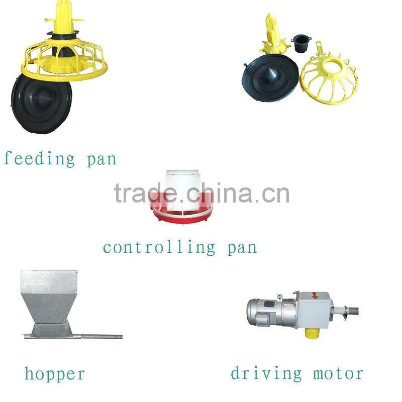 Ready Sale Automatic Poultry Equipment for Broiler and Chicken