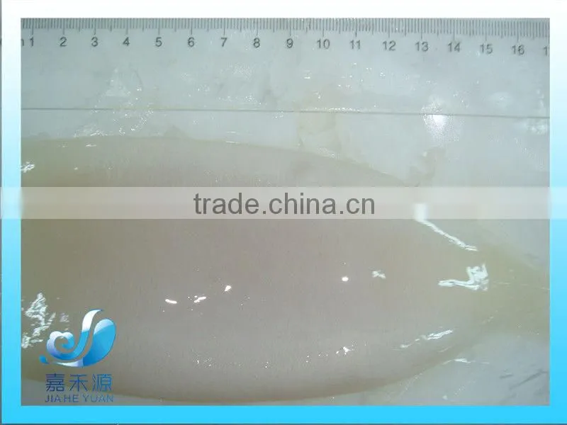 Frozen whole Illex Squid