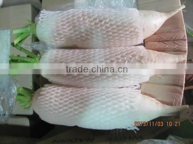 Sell 2014 new crop fresh radish from Brother Kingdom