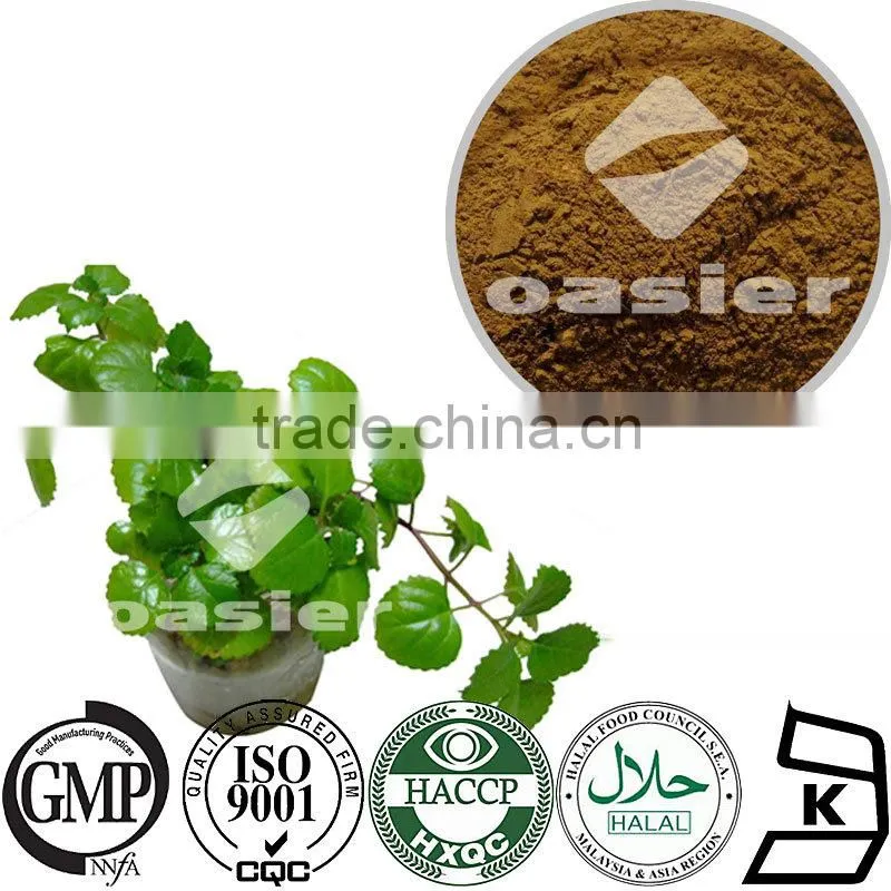 Health Food Plant Extract HPLC 5% to 10%Hedera coside C Helix Extract(Ivy Leaf Extract) with ISO Kosher Certificate