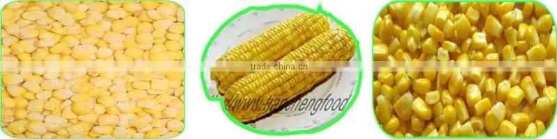 Wholesale Fresh Frozen Corn Kernel