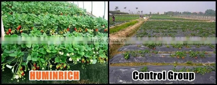 FAQ 33--Huminrich Potassium Humate Fertilizer Application On Plants
