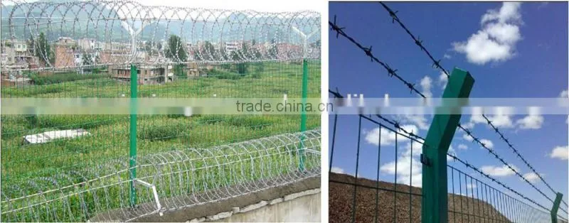 Anping high quality garden barbed fence