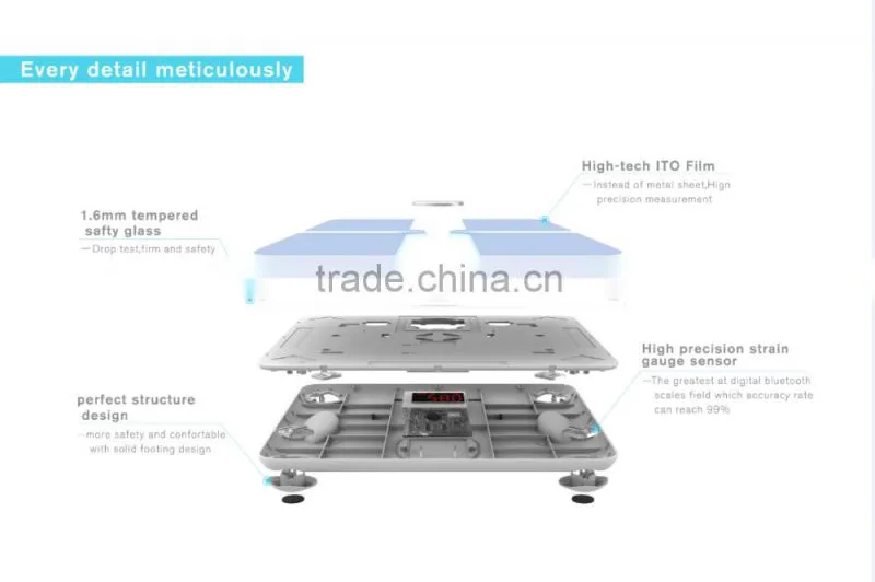 Free APP Wireless Bluetooth Body Fat Scale Support with Ios/Android System