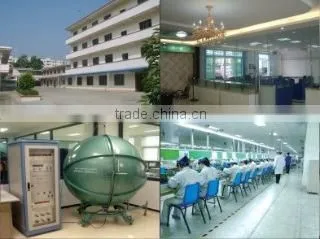 Huizhou Genphoal Technology Co., Ltd. company overview - view 3