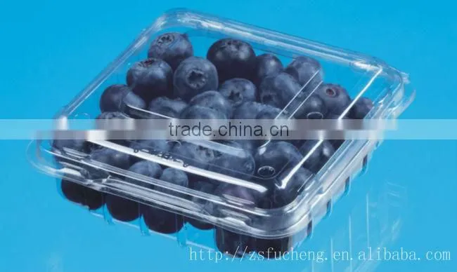 PET Fruit Container, Small Salad Container