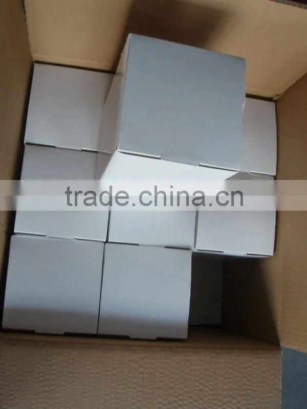 V-AM036 Plastic Human Knee Anatomic Model