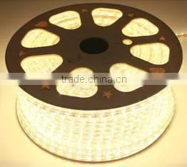 Outdoor color changing led rope light