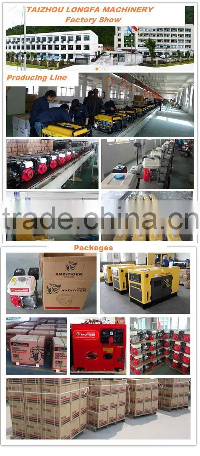 China LONFA Petrol Centrifugal Water Pumps