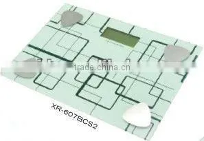 body fat/hydration monitor scale (XR607BCS)