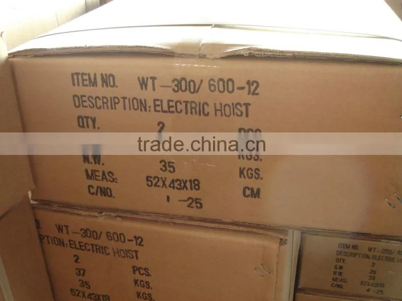 WT-300/600 ELECTRIC HOIST