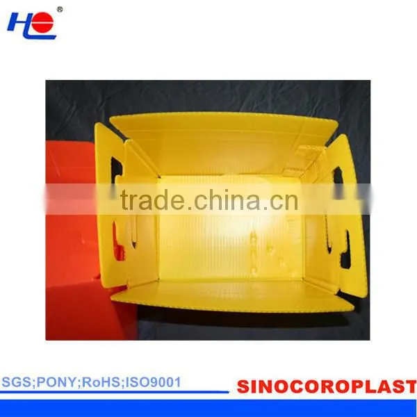 protective and anti-static plastic polypropylene impact tesistance box