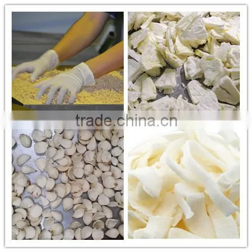 LTDG-Series Vacuum Freeze Drying Machine