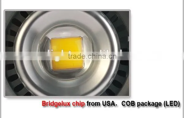 Meanwell Bridgelux CE ROHS High Power 120w LED Lighting Explosion Proof