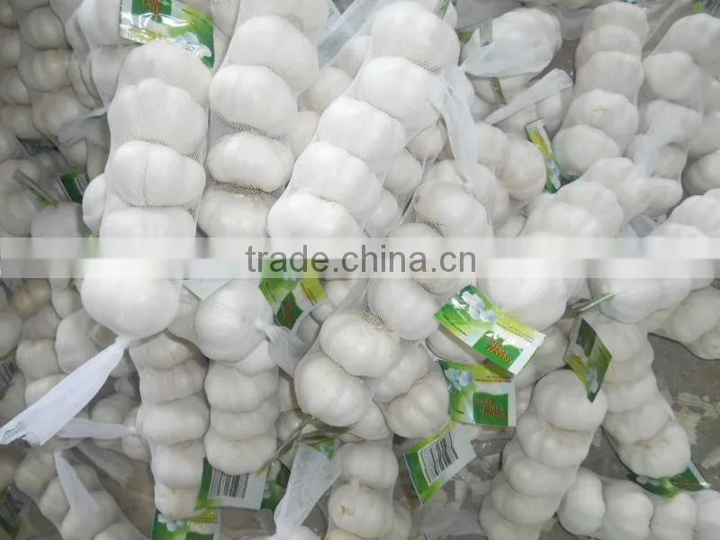 2013 crop natural garlic ,good quality new garlic
