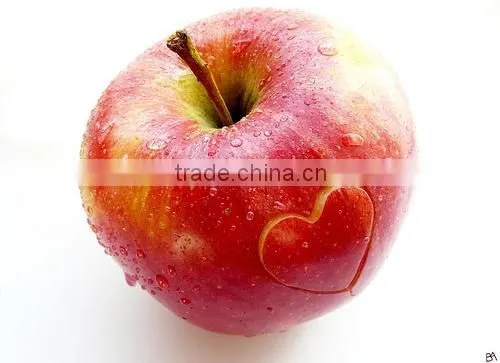 Top Fuji Apple