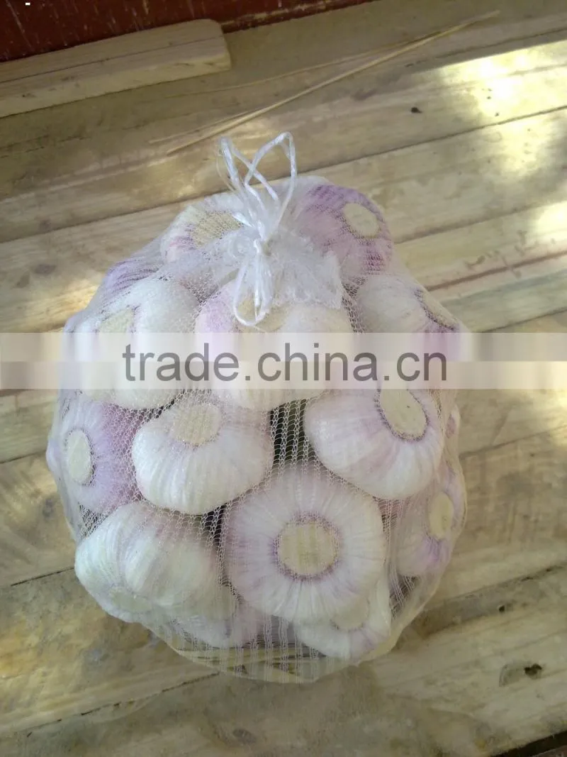Liliaceous Vegetabless Product Type and Garlic 2017
