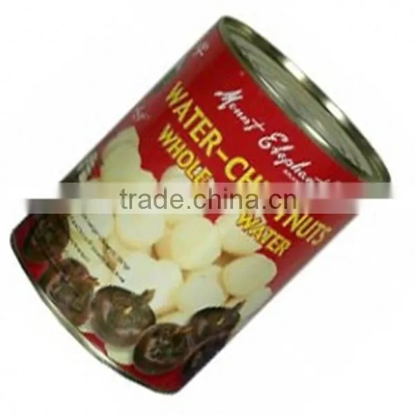 health food canned water chestnut products made in china