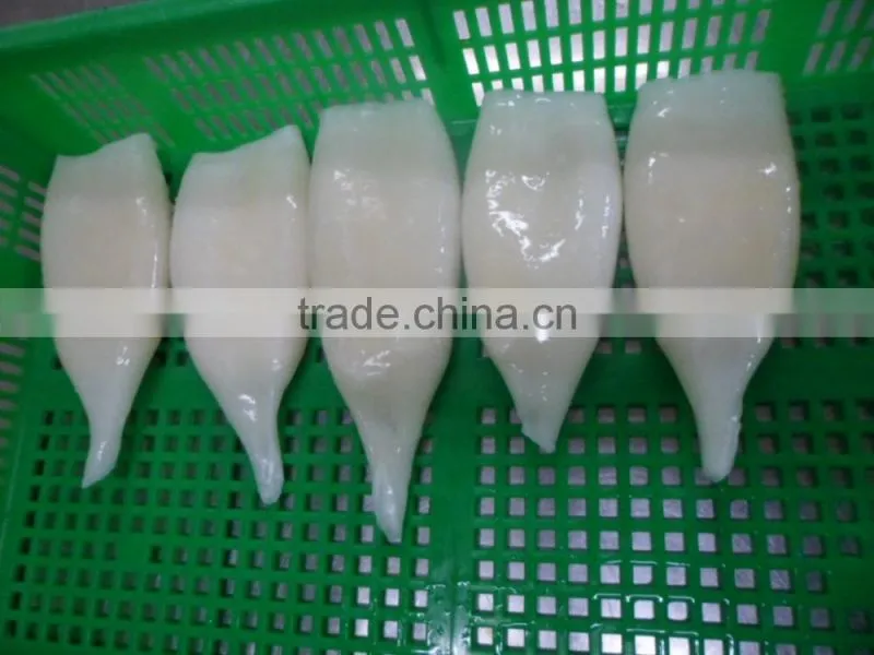 Frozen squid tube fish U5