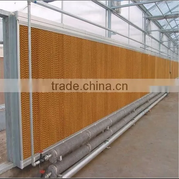 chicken broilers feeding system with automatic drinking system