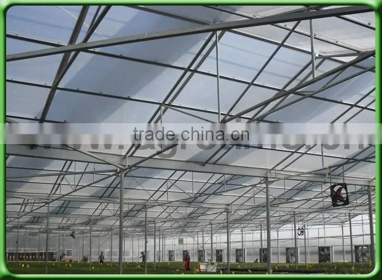Multi Span Tunnel PE Plastic Film Hydroponic Systems Agricultural Commercial Greenhouse