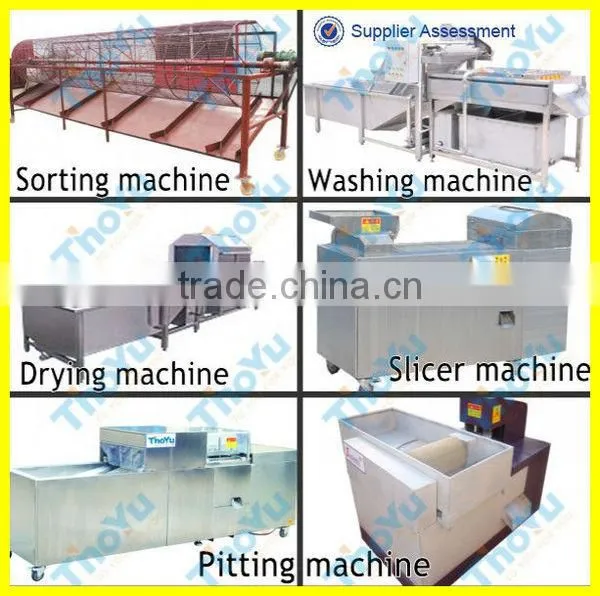 World Popular Most Professional Jujube Pitting Machine(SMS: 0086-15903675071)